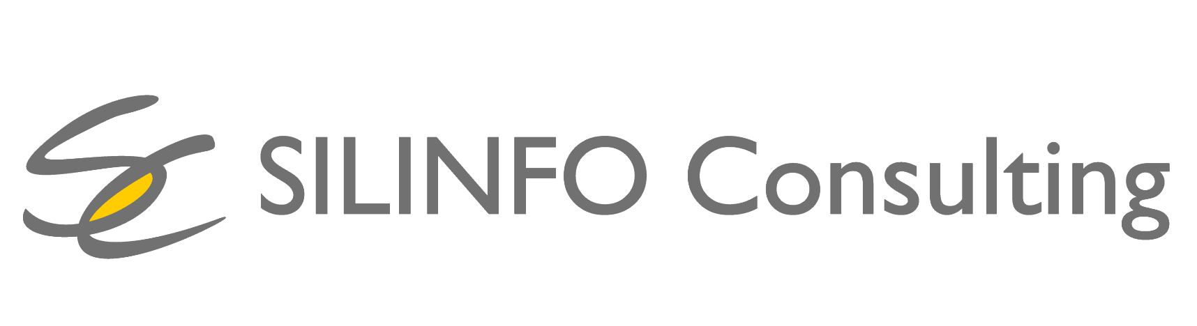 SILINFO Consulting